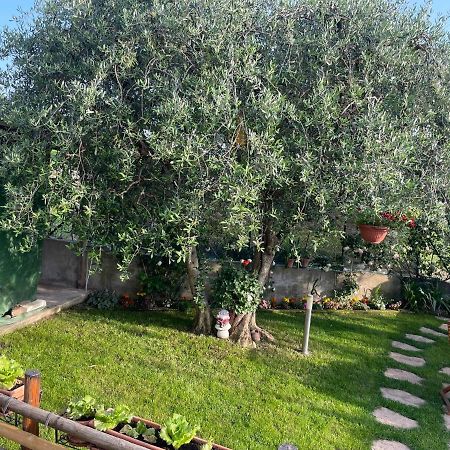 Casa Vacanze Collina Del Lago Пастренго Екстериор снимка